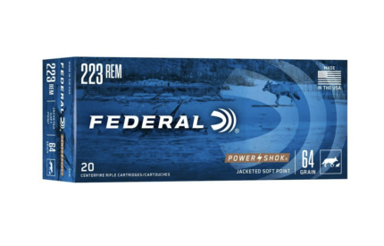 Federal 223 Remington Power-Shok